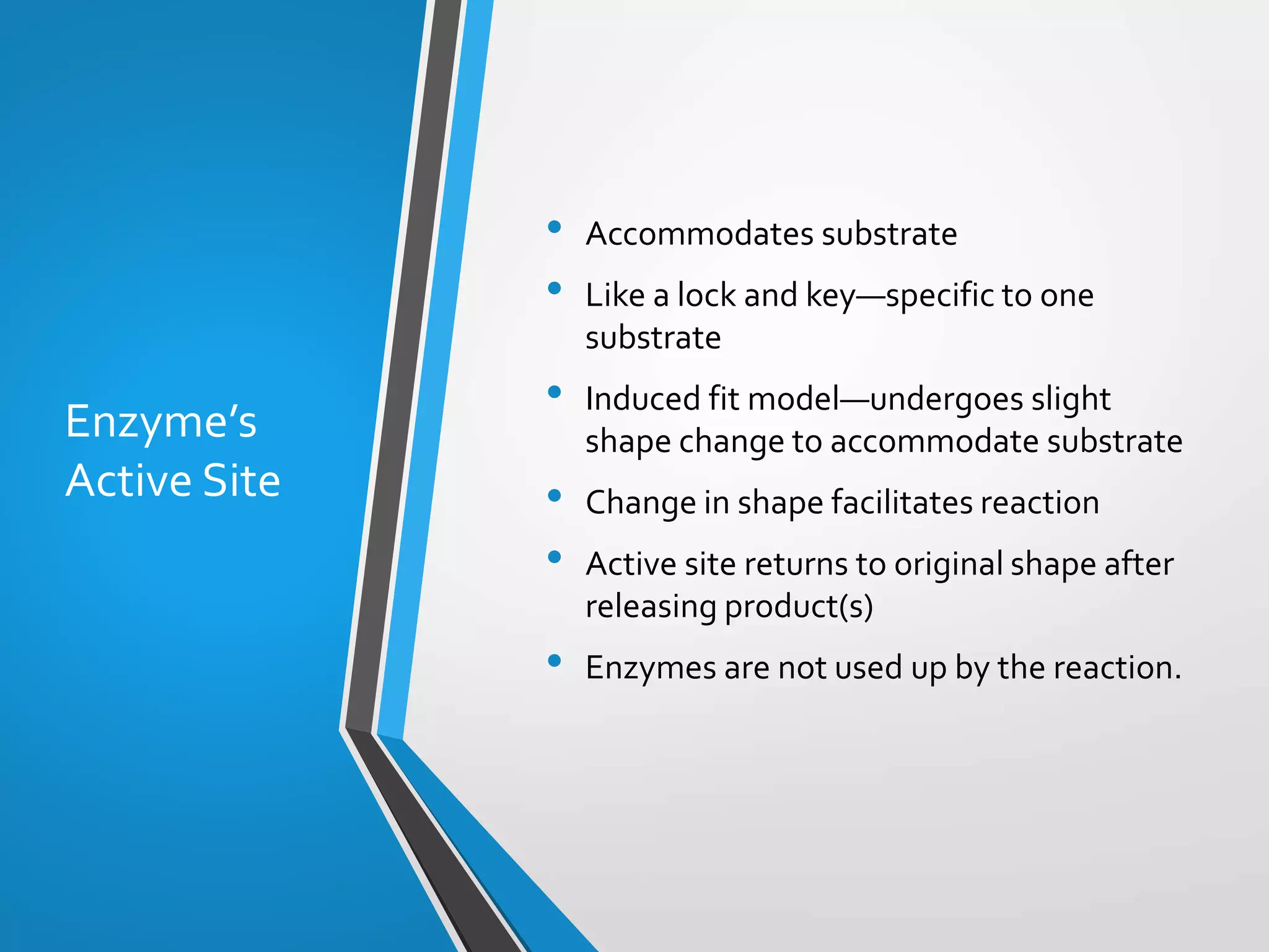 Copyright © McGraw-Hill Education. All rights reserved. Authorized only for instructor use in the classroom. No reproduction or distribution without the prior written
consent of McGraw-Hill Education.
5-21
Enzyme’s
Active Site
• Accommodates substrate
• Like a lock and key—specific to one
substrate
• Induced fit model—undergoes slight
shape change to accommodate substrate
• Change in shape facilitates reaction
• Active site returns to original shape after
releasing product(s)
• Enzymes are not used up by the reaction.
 