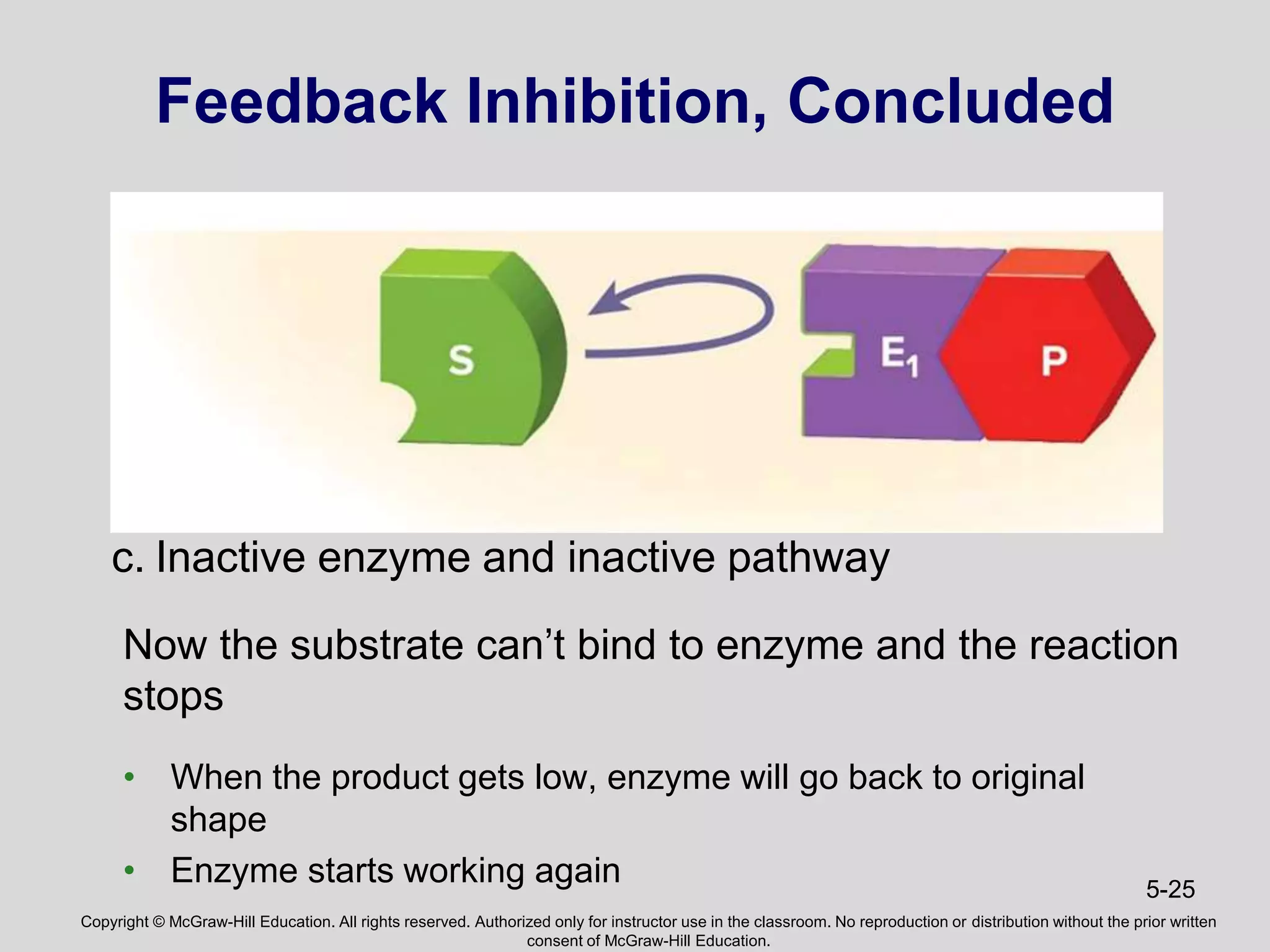 Copyright © McGraw-Hill Education. All rights reserved. Authorized only for instructor use in the classroom. No reproduction or distribution without the prior written
consent of McGraw-Hill Education.
5-25
Feedback Inhibition, Concluded
Now the substrate can’t bind to enzyme and the reaction
stops
• When the product gets low, enzyme will go back to original
shape
• Enzyme starts working again
c. Inactive enzyme and inactive pathway
 