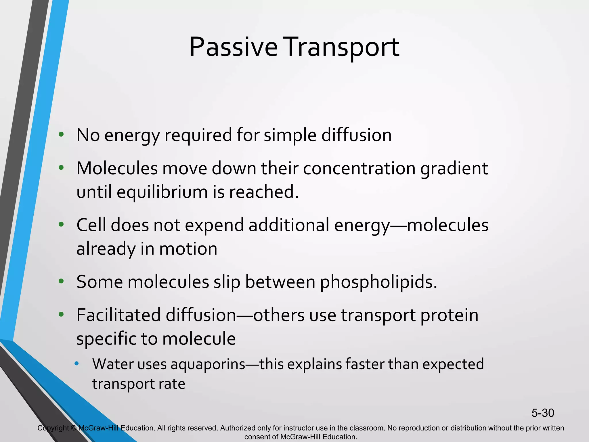 Copyright © McGraw-Hill Education. All rights reserved. Authorized only for instructor use in the classroom. No reproduction or distribution without the prior written
consent of McGraw-Hill Education.
5-30
PassiveTransport
• No energy required for simple diffusion
• Molecules move down their concentration gradient
until equilibrium is reached.
• Cell does not expend additional energy—molecules
already in motion
• Some molecules slip between phospholipids.
• Facilitated diffusion—others use transport protein
specific to molecule
• Water uses aquaporins—this explains faster than expected
transport rate
 