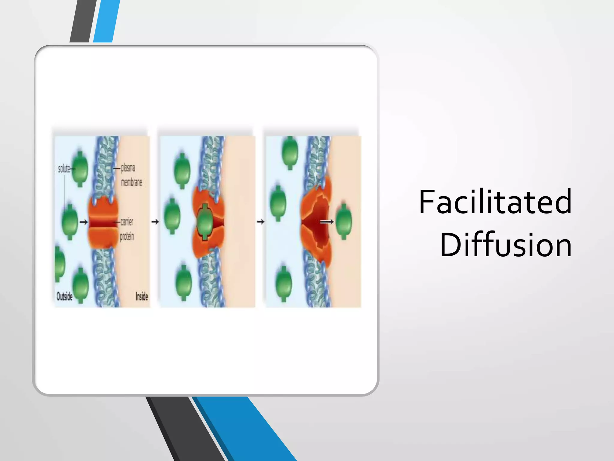 Copyright © McGraw-Hill Education. All rights reserved. Authorized only for instructor use in the classroom. No reproduction or distribution without the prior written
consent of McGraw-Hill Education.
5-32
Facilitated
Diffusion
 