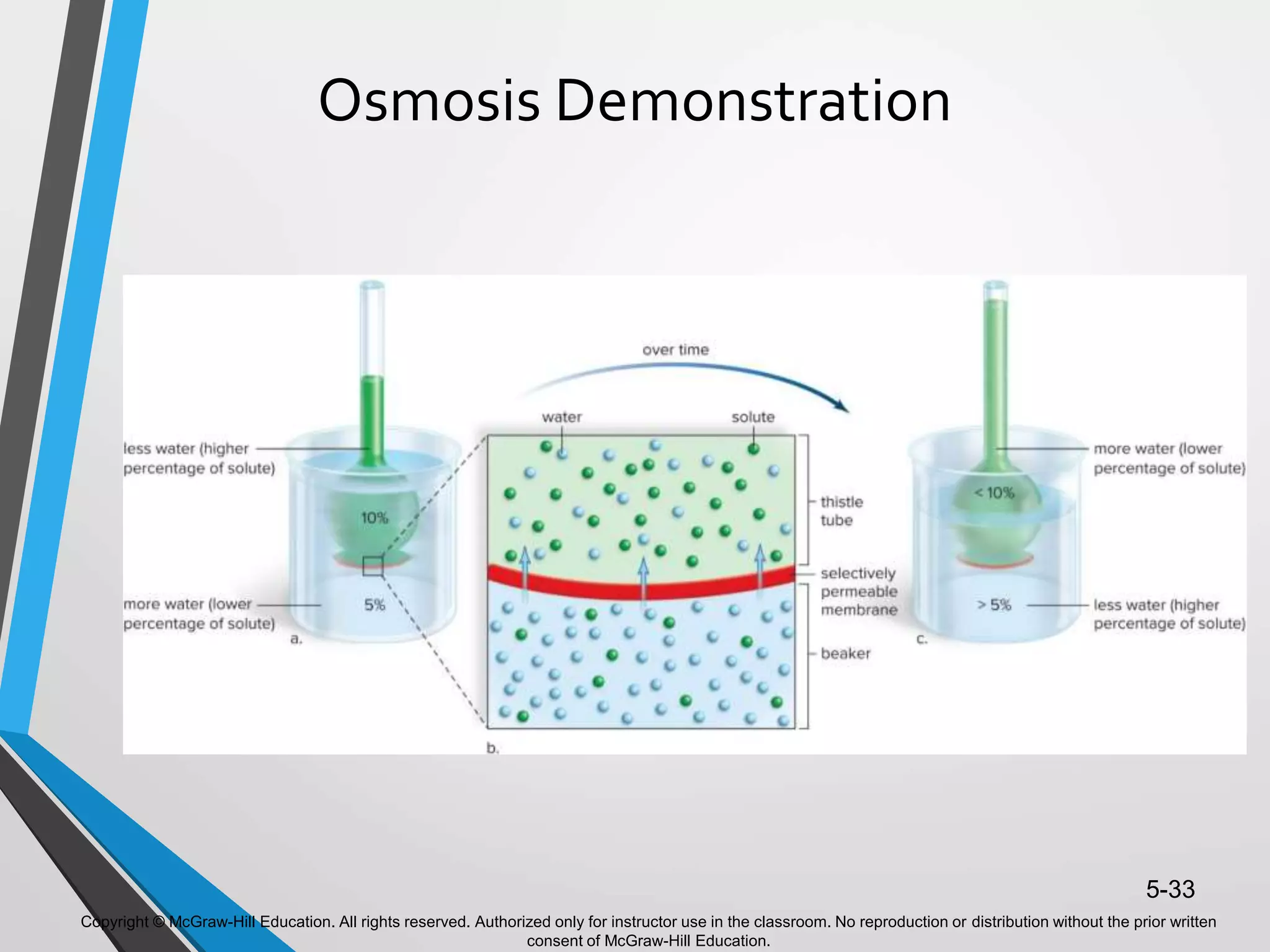 Copyright © McGraw-Hill Education. All rights reserved. Authorized only for instructor use in the classroom. No reproduction or distribution without the prior written
consent of McGraw-Hill Education.
5-33
Osmosis Demonstration
 