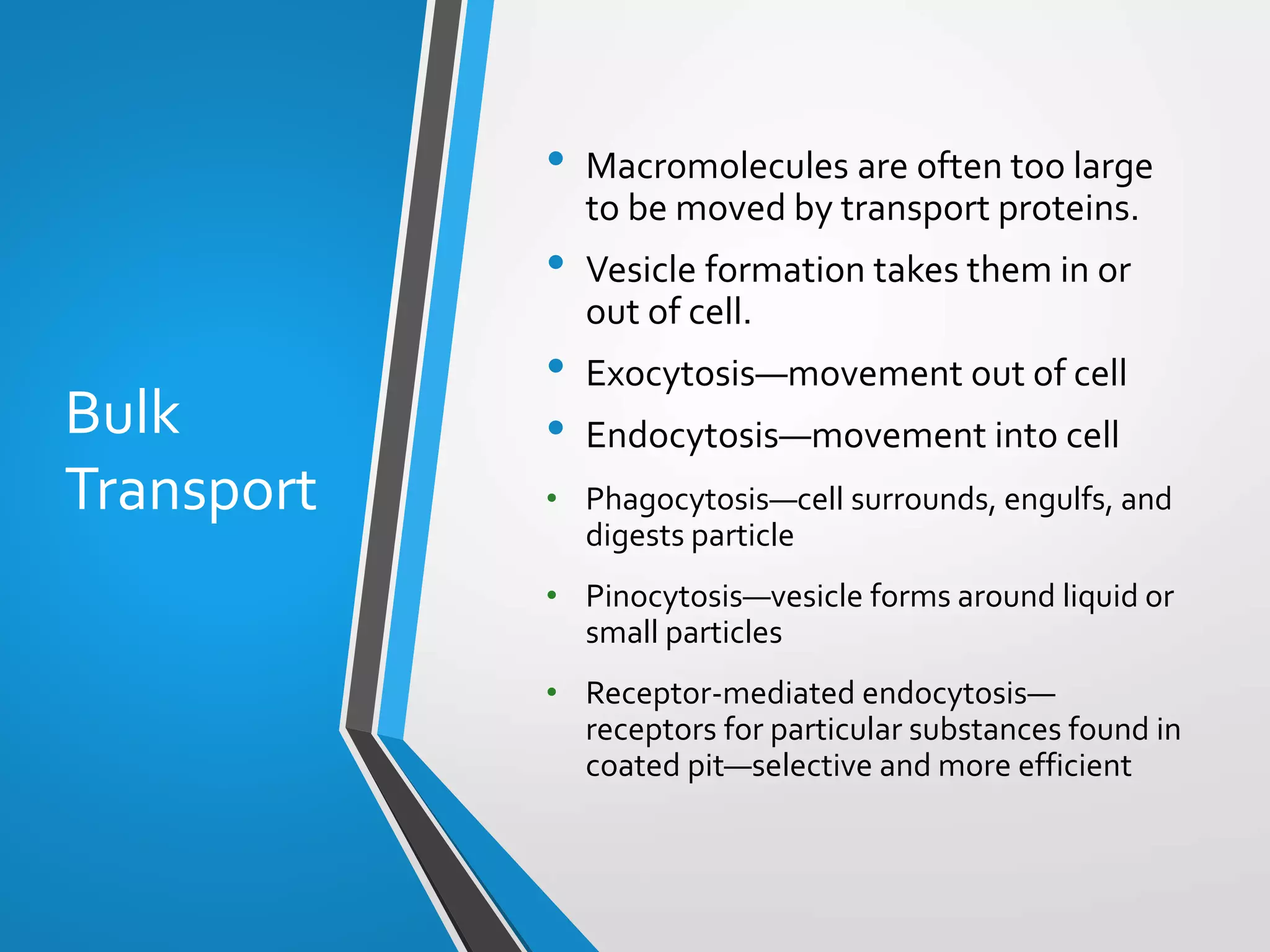 Copyright © McGraw-Hill Education. All rights reserved. Authorized only for instructor use in the classroom. No reproduction or distribution without the prior written
consent of McGraw-Hill Education.
5-38
Bulk
Transport
• Macromolecules are often too large
to be moved by transport proteins.
• Vesicle formation takes them in or
out of cell.
• Exocytosis—movement out of cell
• Endocytosis—movement into cell
• Phagocytosis—cell surrounds, engulfs, and
digests particle
• Pinocytosis—vesicle forms around liquid or
small particles
• Receptor-mediated endocytosis—
receptors for particular substances found in
coated pit—selective and more efficient
 