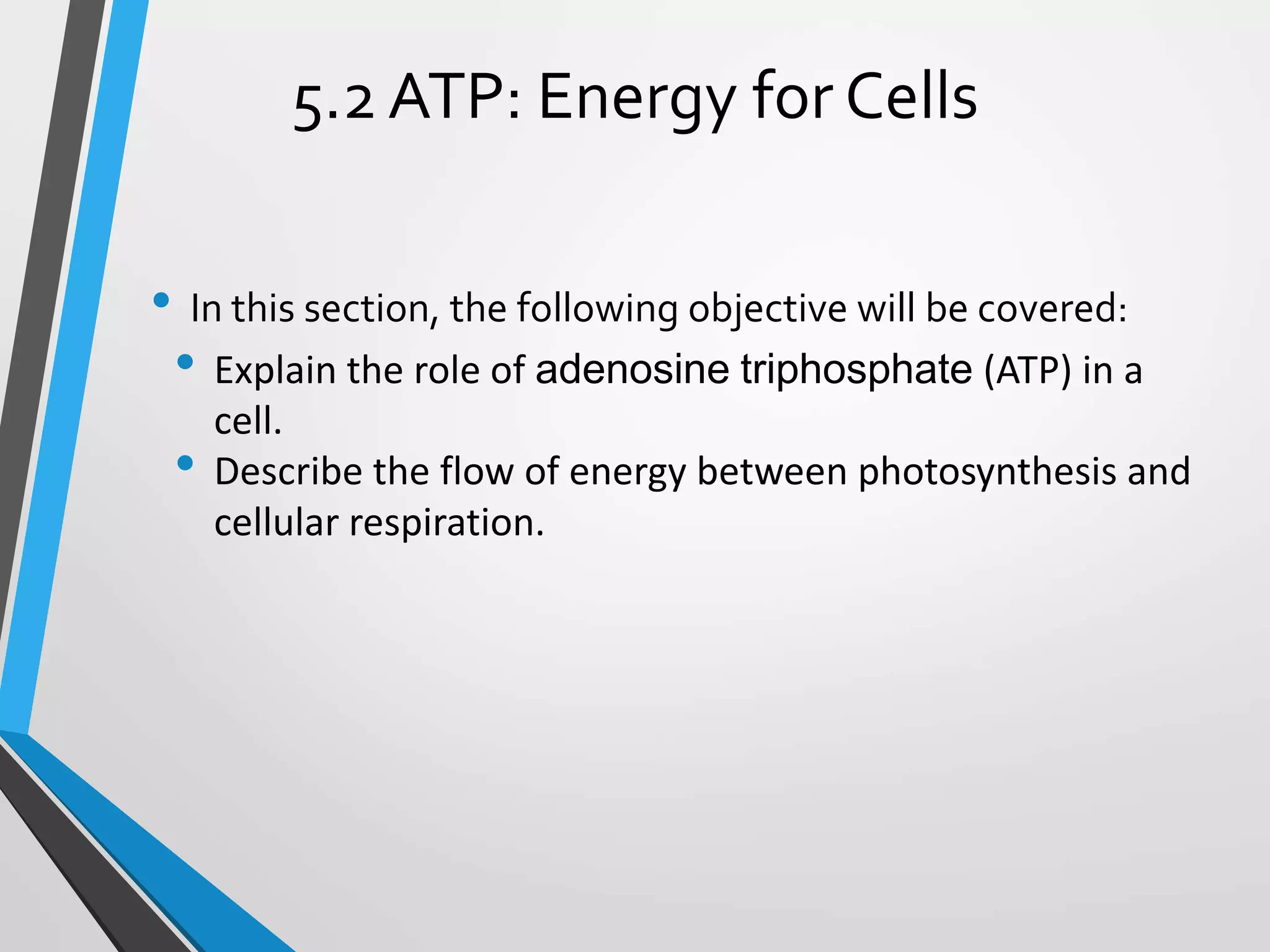 • In this section, the following objective will be covered:
• Explain the role of adenosine triphosphate (ATP) in a
cell.
• Describe the flow of energy between photosynthesis and
cellular respiration.
5.2 ATP: Energy for Cells
 
