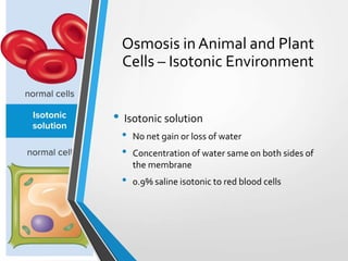 Chapter 5 The Dynamic Cell | PPTX