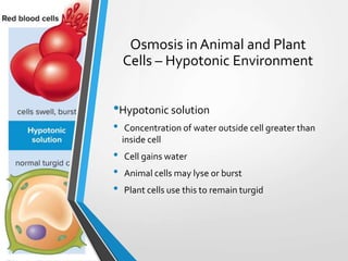Chapter 5 The Dynamic Cell | PPTX
