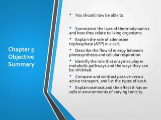 Chapter 5 The Dynamic Cell | PPTX