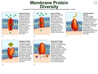 Membrane Protein Diversity 