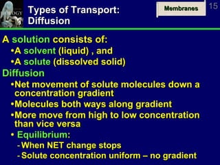 Types of Transport: Diffusion A  solution  consists of: A  solvent  (liquid) , and A  solute  (dissolved solid) Diffusion Net movement of solute molecules down a concentration gradient Molecules both ways along gradient More move from high to low concentration than vice versa Equilibrium : When NET change stops Solute concentration uniform – no gradient 