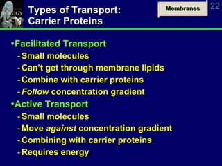 Types of Transport: Carrier Proteins Facilitated Transport Small molecules Can’t get through membrane lipids Combine with carrier proteins Follow  concentration gradient Active Transport Small molecules Move  against  concentration gradient Combining with carrier proteins Requires energy 