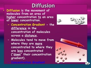 Chapter 5 - Cell Transport | PPT