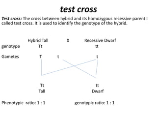 Chapter 5 principles of inheritance and variation | PPTX