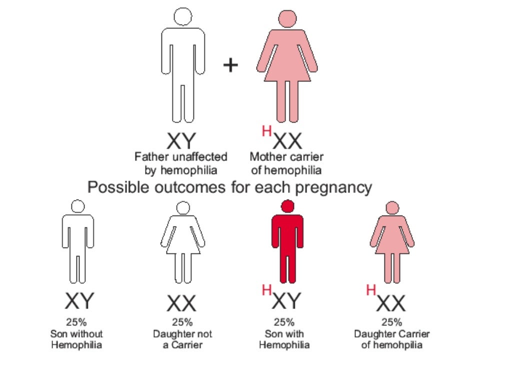 Chapter 5 principles of inheritance and variation