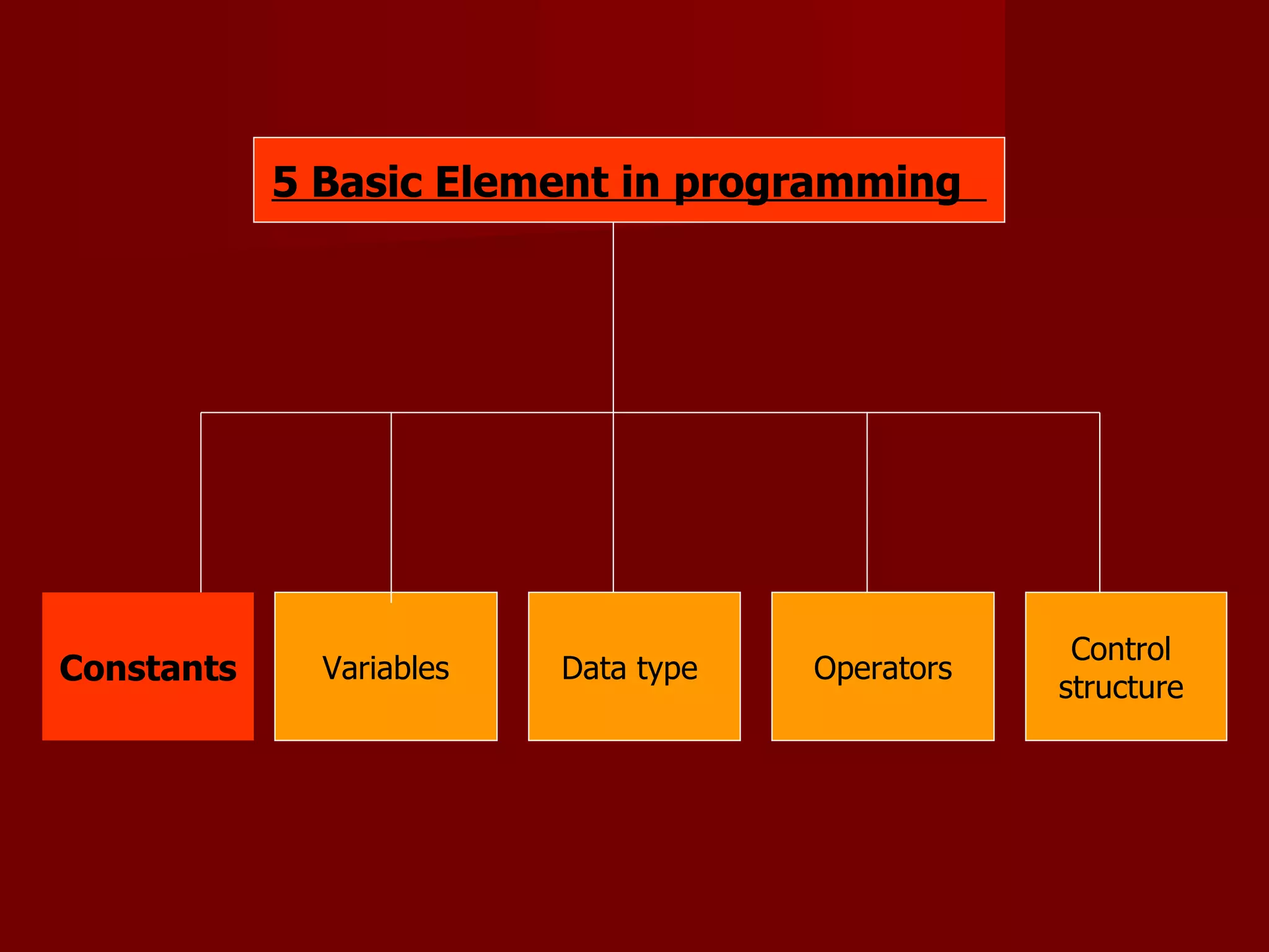 5 Basic Element in programming  Data type  Variables Constants Operators Control  structure  