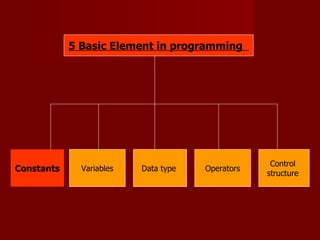 Chapter 5( programming) answer | PPT
