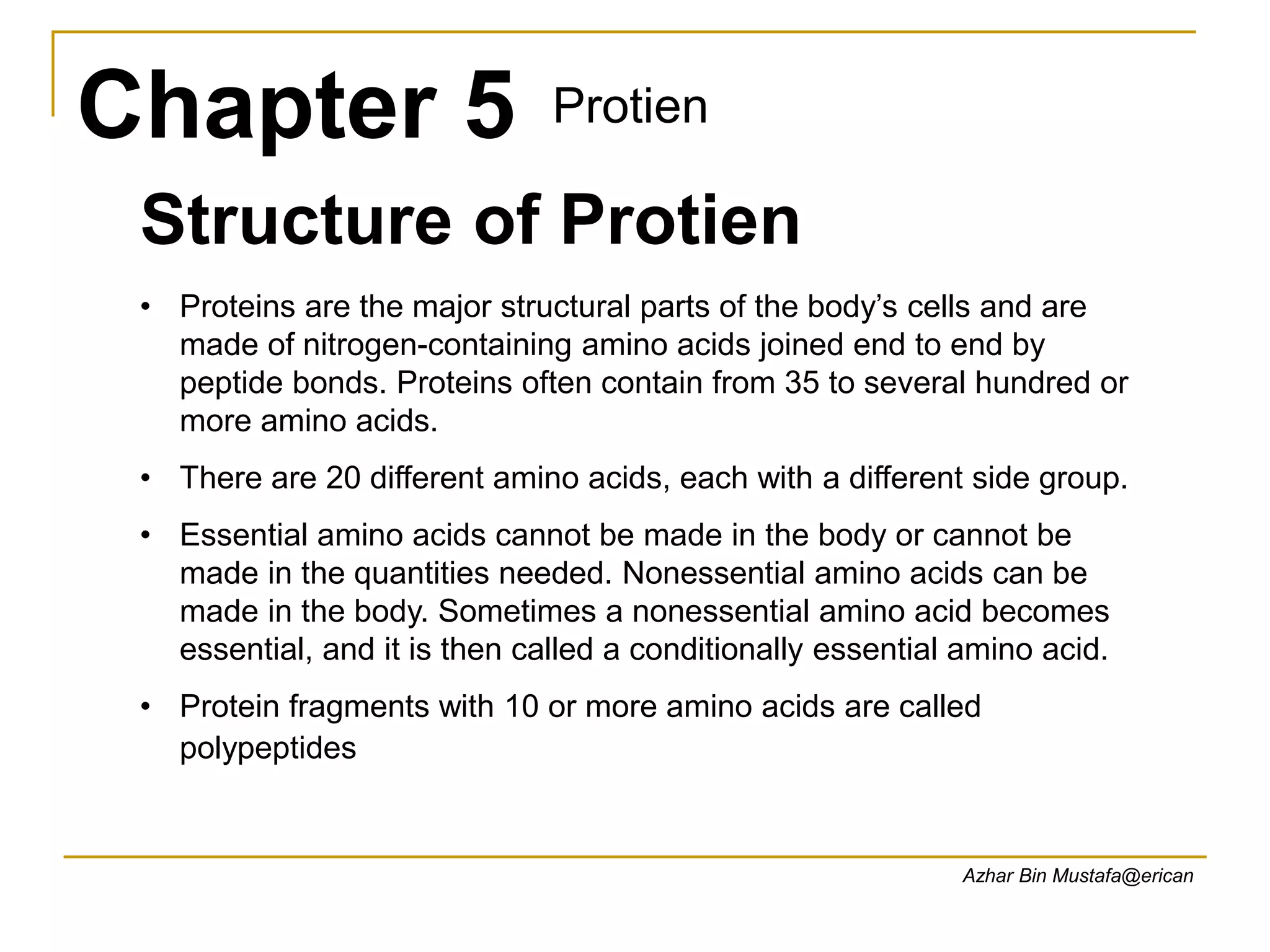 Chapter 5 protein.ppt