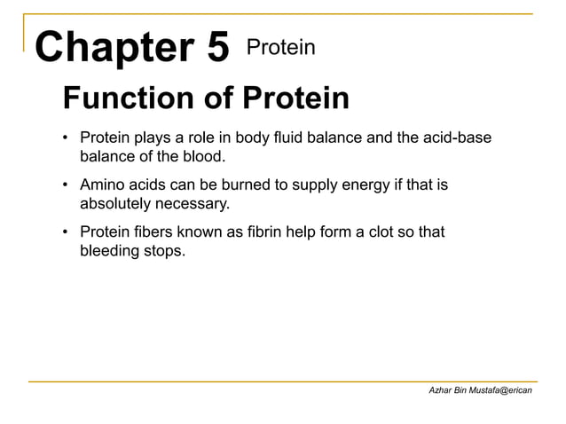 Chapter 5 protein.ppt
