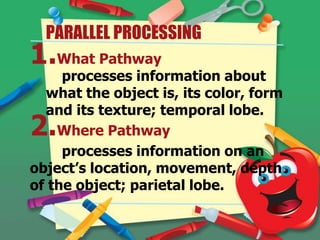 PARALLEL PROCESSING

1.What Pathway

processes information about
what the object is, its color, form
and its texture; temporal lobe.
Where Pathway
processes information on an
object’s location, movement, depth
of the object; parietal lobe.

2.

 