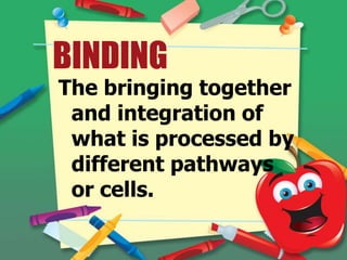 BINDING
The bringing together
and integration of
what is processed by
different pathways
or cells.

 