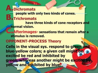 A.Dichromats
people with only two kinds of cones.
B.Trichromats

have three kinds of cone receptors and
normal vision.

C.Afterimages- sensations that remain after a
stimulus is removed.

OPPONENT-PROCESS Theory
Cells in the visual sys. respond to green and
blue-yellow colors; a given cell might be
excited be red and inhibited by
green, whereas another might be excited by
yellow and inhibited by blue.

 