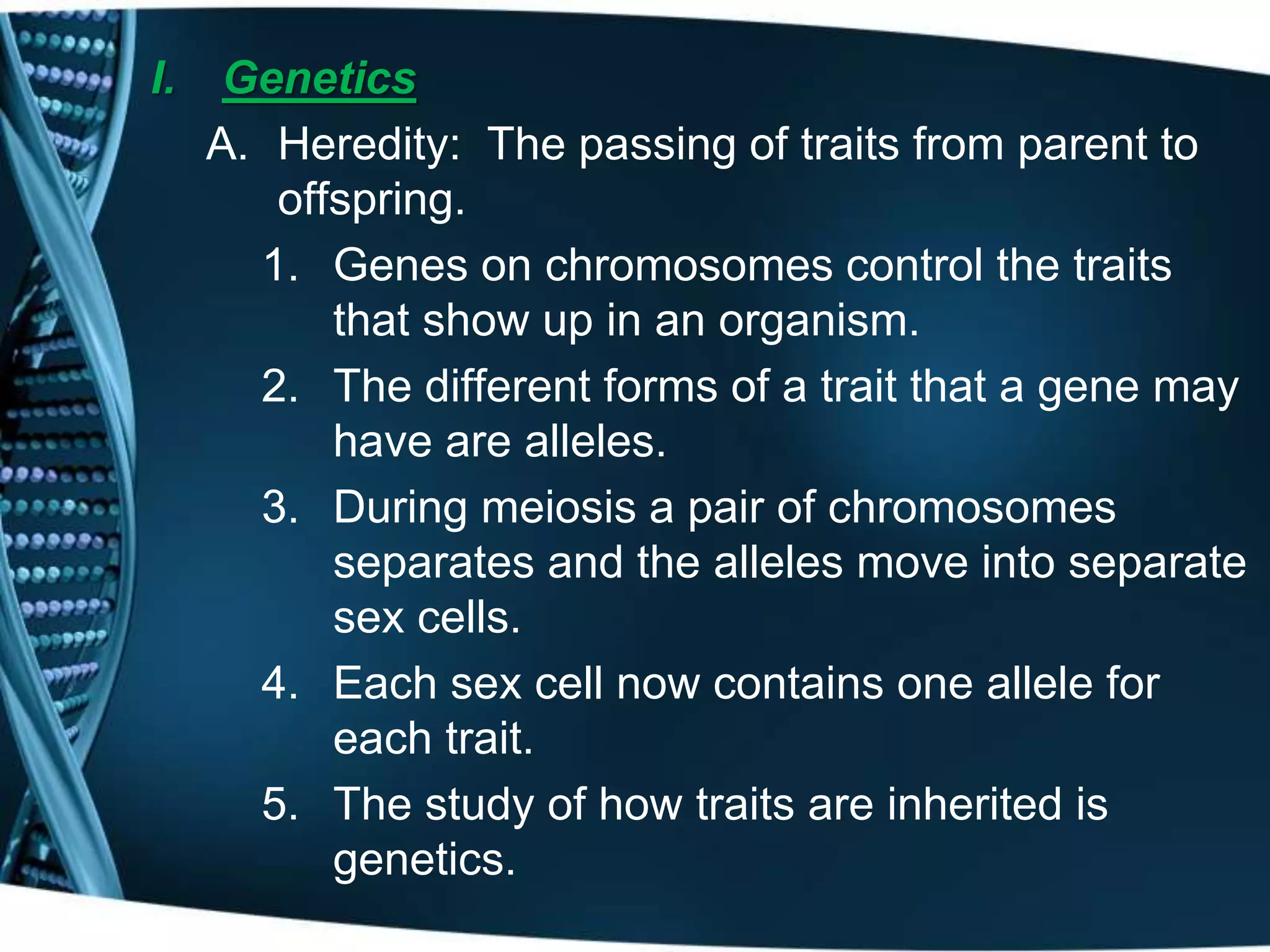 I. Genetics
A. Heredity: The passing of traits from parent to
offspring.
1. Genes on chromosomes control the traits
that show up in an organism.
2. The different forms of a trait that a gene may
have are alleles.
3. During meiosis a pair of chromosomes
separates and the alleles move into separate
sex cells.
4. Each sex cell now contains one allele for
each trait.
5. The study of how traits are inherited is
genetics.