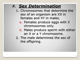 Chapter 5 section 2 notes | PPTX
