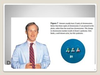 Chapter 5 section 2 notes | PPTX
