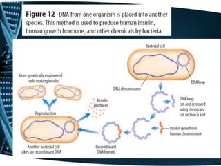 Chapter 5 Section 3 Notes Advances Is Genetics
