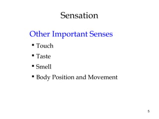 5
Sensation
Other Important Senses
 Touch
 Taste
 Smell
 Body Position and Movement
 