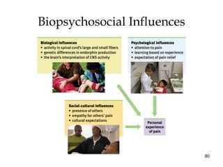 80
Biopsychosocial Influences
 