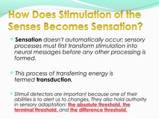 Sensation doesn't automatically occur; sensory 
processes must first transform stimulation into 
neural messages before a...