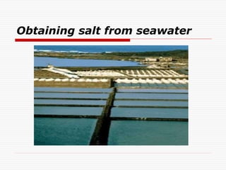 Obtaining salt from seawater
 