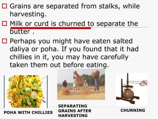  Grains are separated from stalks, while
harvesting.
 Milk or curd is churned to separate the
butter .
 Perhaps you might have eaten salted
daliya or poha. If you found that it had
chillies in it, you may have carefully
taken them out before eating.
CHURNING
POHA WITH CHILLIES
SEPARATING
GRAINS AFTER
HARVESTING
 
