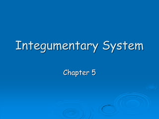 Integumentary System
Chapter 5
 