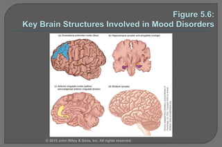 © 2015 John Wiley & Sons, Inc. All rights reserved.
 