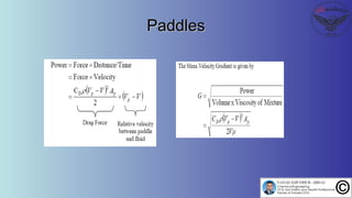 PaddlesPaddles
 