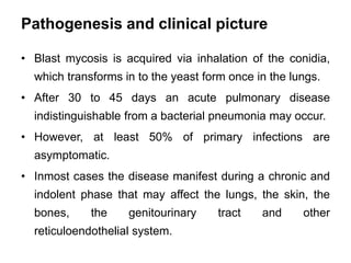 Pathogenesis and clinical picture
• Blast mycosis is acquired via inhalation of the conidia,
which transforms in to the ye...