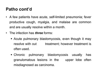 Patho cont’d
• A few patients have acute, self-limited pneumonia; fever
productive cough, myalgia, and malaise are common
...