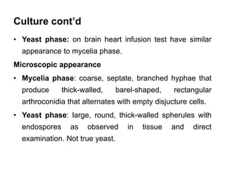 Culture cont’d
• Yeast phase: on brain heart infusion test have similar
appearance to mycelia phase.
Microscopic appearanc...