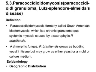 5.3.Paracoccidioidomycosis(paracoccidi-
oidl granuloma, Lutz-splendore-almeida’s
disease)
Definition
• Paracoccidioidomyco...
