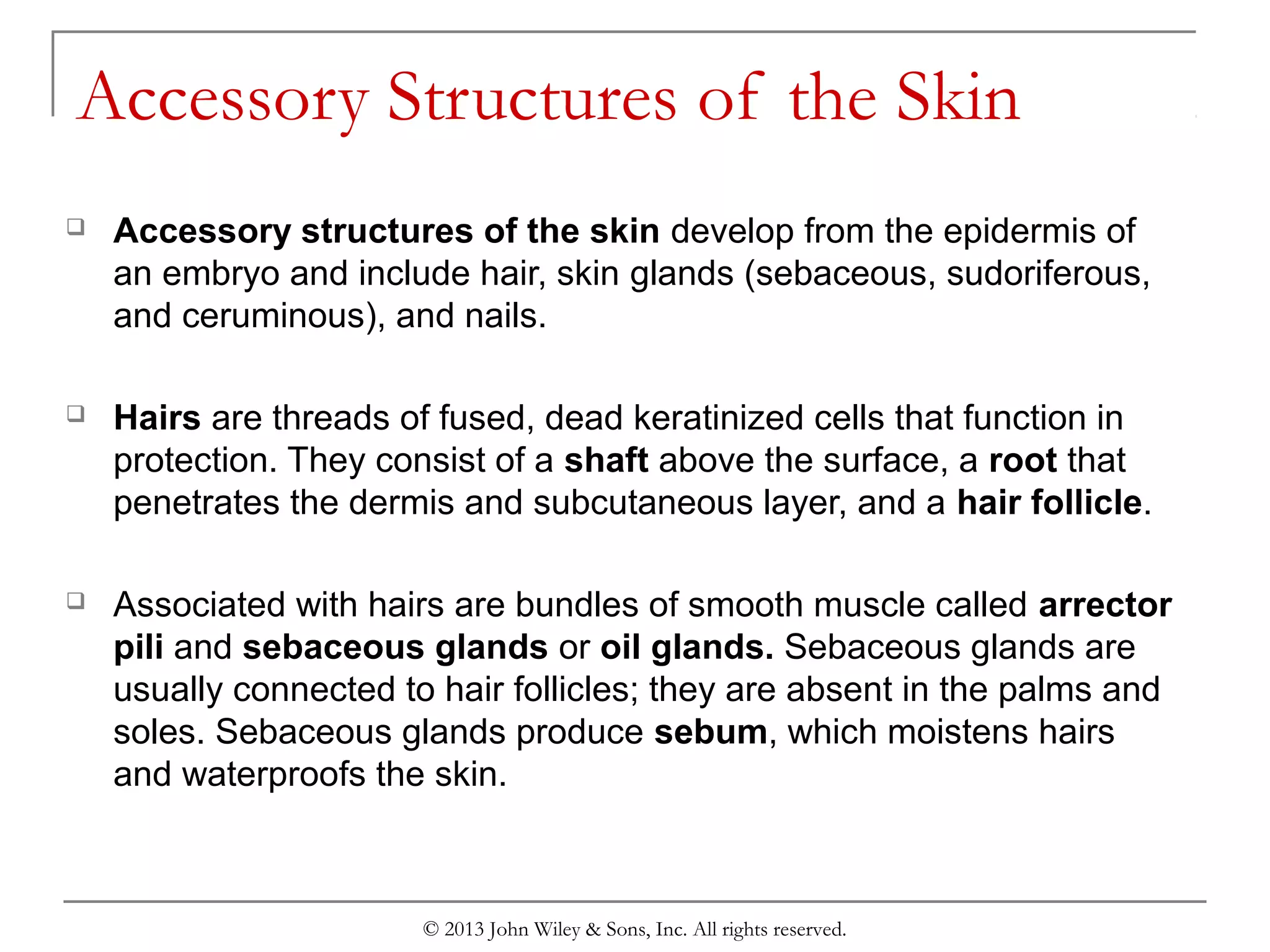 Chapter 5 the integumentary system | PPT