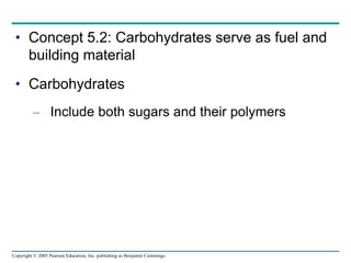 Copyright © 2005 Pearson Education, Inc. publishing as Benjamin Cummings
• Concept 5.2: Carbohydrates serve as fuel and
building material
• Carbohydrates
– Include both sugars and their polymers
 