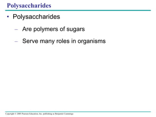 Copyright © 2005 Pearson Education, Inc. publishing as Benjamin Cummings
Polysaccharides
• Polysaccharides
– Are polymers of sugars
– Serve many roles in organisms
 