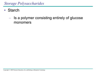 Copyright © 2005 Pearson Education, Inc. publishing as Benjamin Cummings
Storage Polysaccharides
• Starch
– Is a polymer consisting entirely of glucose
monomers
 