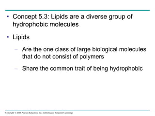 Copyright © 2005 Pearson Education, Inc. publishing as Benjamin Cummings
• Concept 5.3: Lipids are a diverse group of
hydrophobic molecules
• Lipids
– Are the one class of large biological molecules
that do not consist of polymers
– Share the common trait of being hydrophobic
 