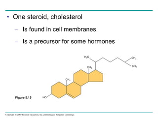 Copyright © 2005 Pearson Education, Inc. publishing as Benjamin Cummings
• One steroid, cholesterol
– Is found in cell membranes
– Is a precursor for some hormones
HO
CH3
CH3
H3C CH3
CH3
Figure 5.15
 