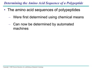 Copyright © 2005 Pearson Education, Inc. publishing as Benjamin Cummings
Determining the Amino Acid Sequence of a Polypeptide
• The amino acid sequences of polypeptides
– Were first determined using chemical means
– Can now be determined by automated
machines
 