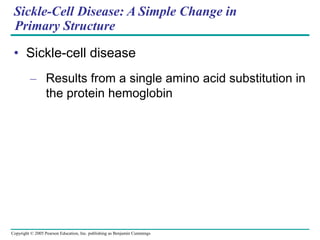 Copyright © 2005 Pearson Education, Inc. publishing as Benjamin Cummings
Sickle-Cell Disease: A Simple Change in
Primary Structure
• Sickle-cell disease
– Results from a single amino acid substitution in
the protein hemoglobin
 