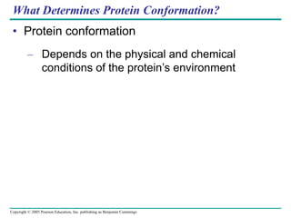 Copyright © 2005 Pearson Education, Inc. publishing as Benjamin Cummings
What Determines Protein Conformation?
• Protein conformation
– Depends on the physical and chemical
conditions of the protein’s environment
 