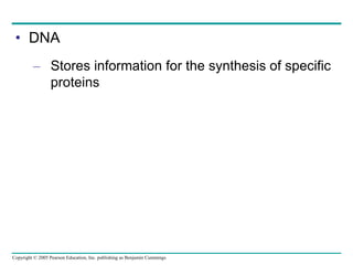 Copyright © 2005 Pearson Education, Inc. publishing as Benjamin Cummings
• DNA
– Stores information for the synthesis of specific
proteins
 
