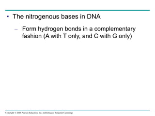 Copyright © 2005 Pearson Education, Inc. publishing as Benjamin Cummings
• The nitrogenous bases in DNA
– Form hydrogen bonds in a complementary
fashion (A with T only, and C with G only)
 